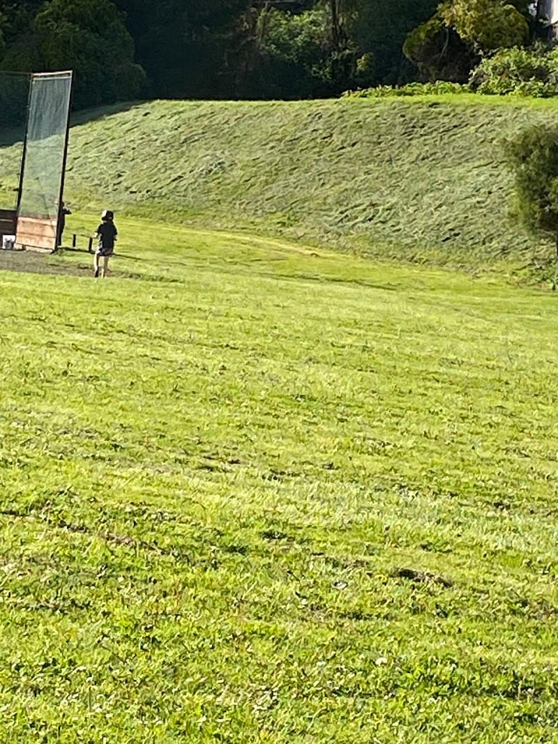 Photo by Amy Davis (Google)