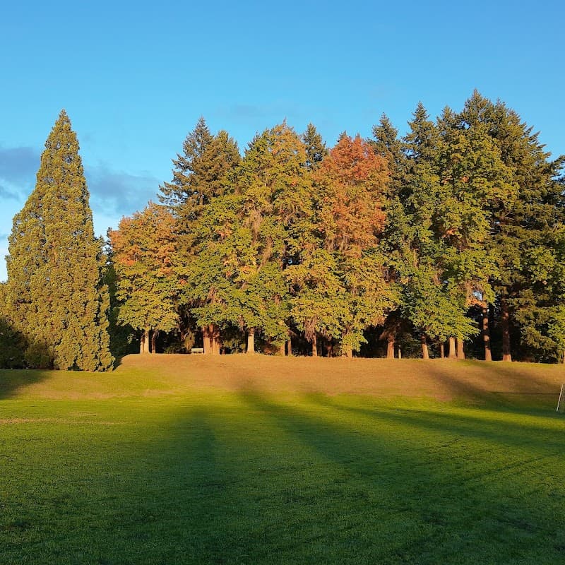 Photo by Erin (Google)