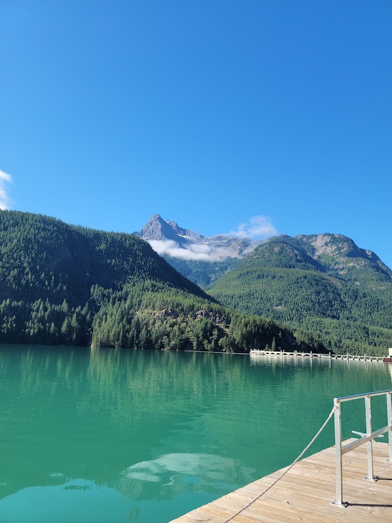 Photo by Alisha Cruz (Google)