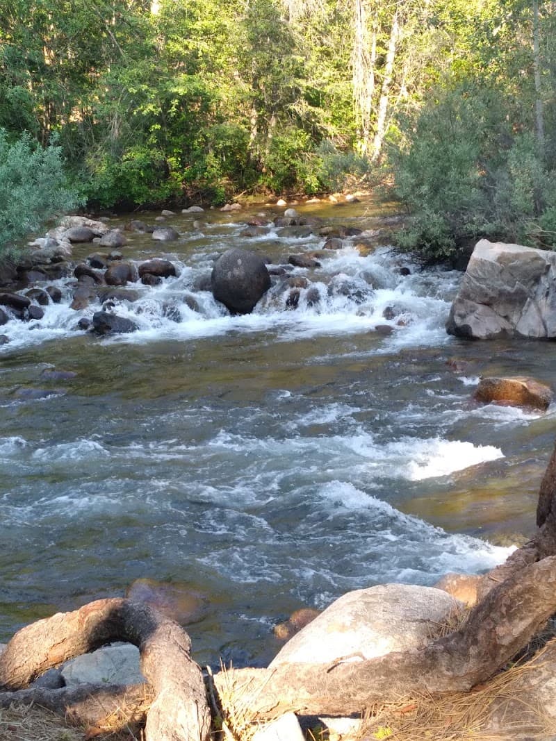 Photo by Karl Lang (Google)