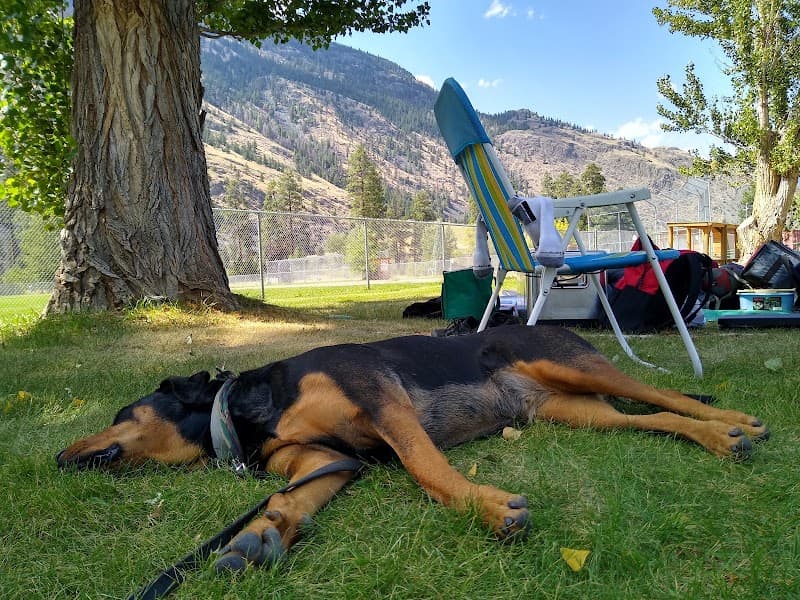 Photo by Ryan Dilworth (Google)