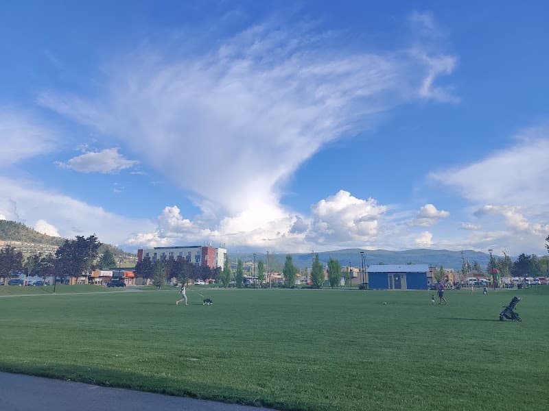 Photo by Yifan Pan (Google)