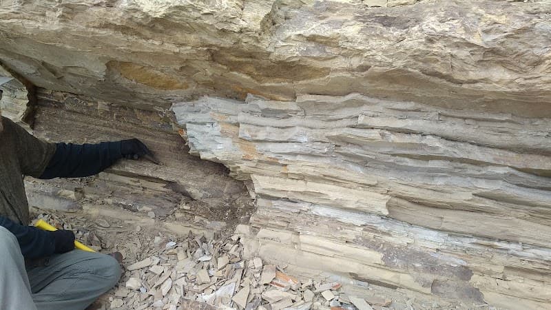 Stonerose Interpretive Center & Eocene Fossil Site