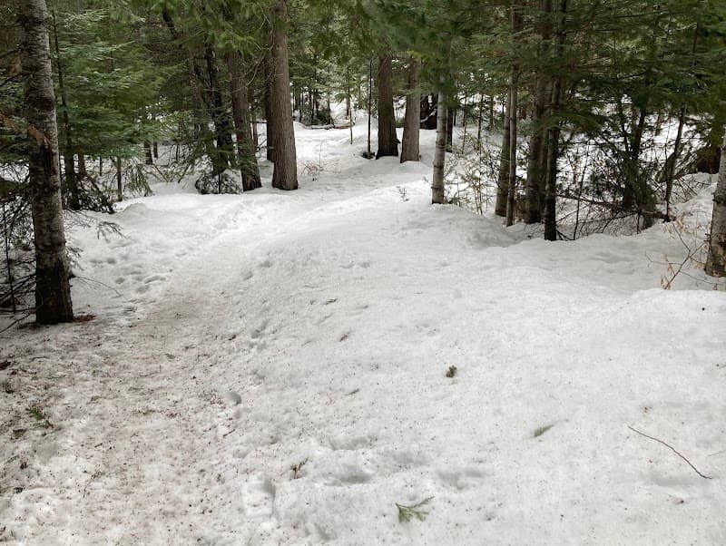 Photo by Lance Hewitt (Google)