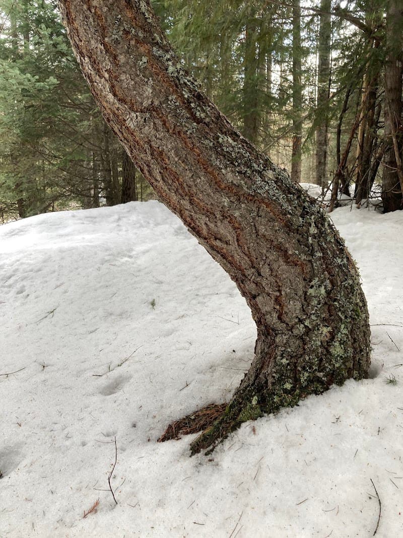 Outdoor Recreation Center