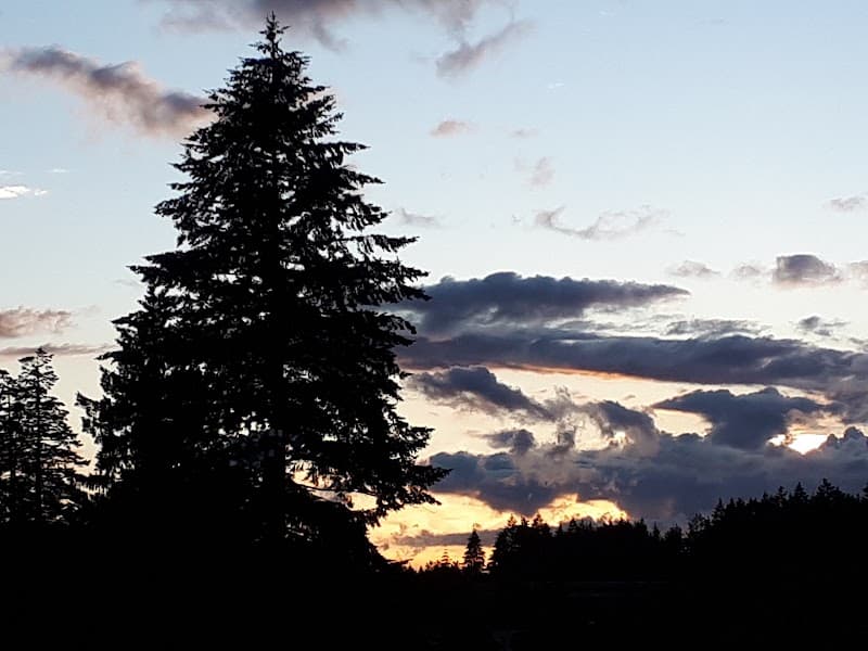 Photo by Sharon Kamann (Google)