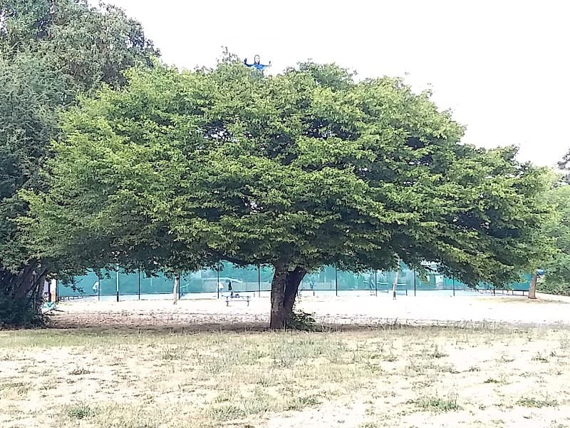 Beaufort Park