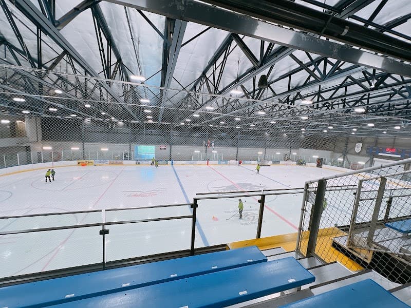 Photo by Nancy Zhao (Google)