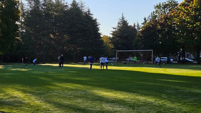 Photo by G M (Google)