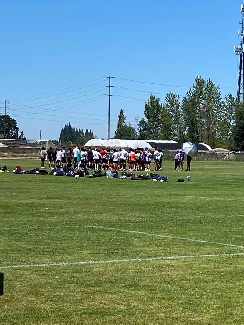 Photo by Morai Ball (Google)