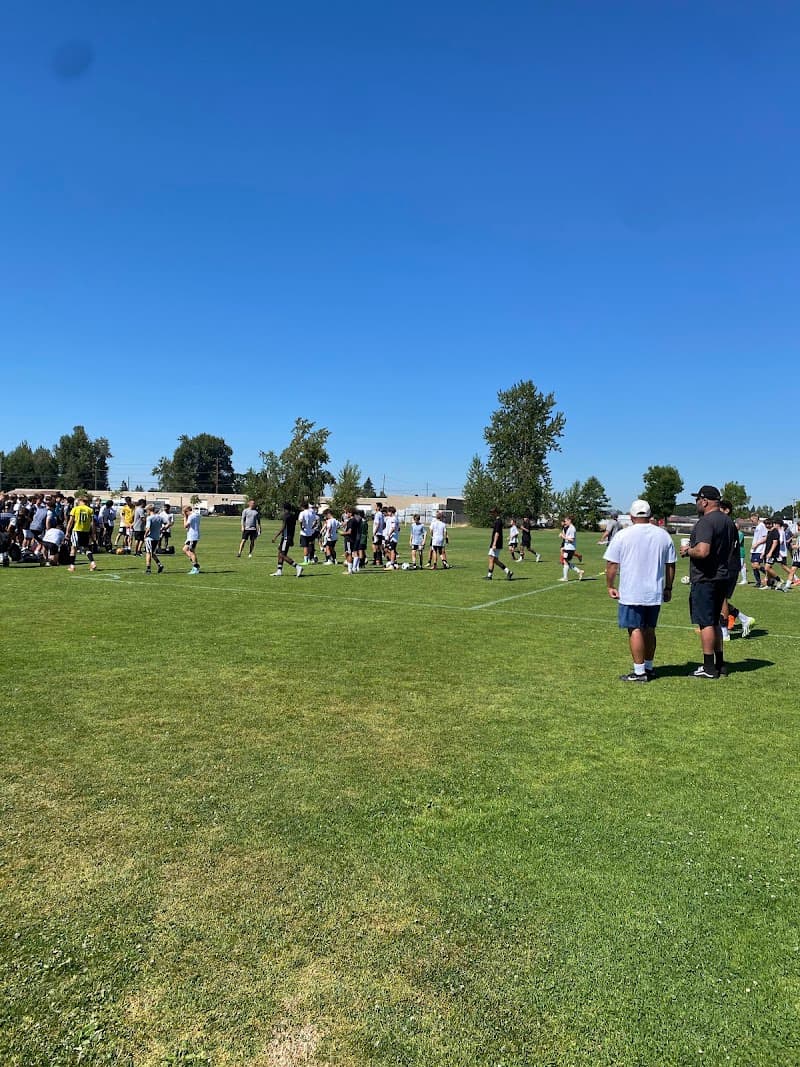 Photo by Morai Ball (Google)