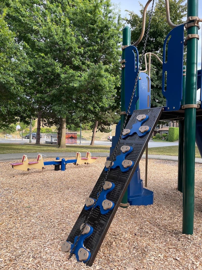 Photo by Yena L (Google)