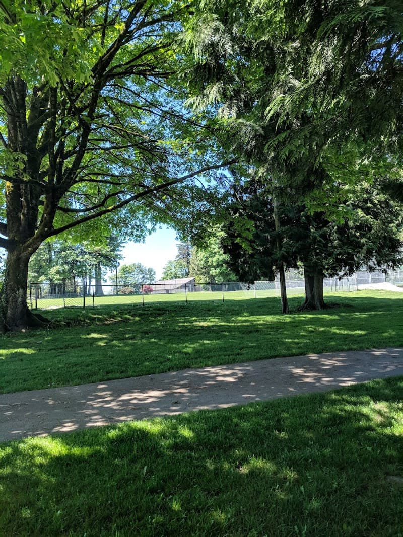 Photo by Katie C (Google)