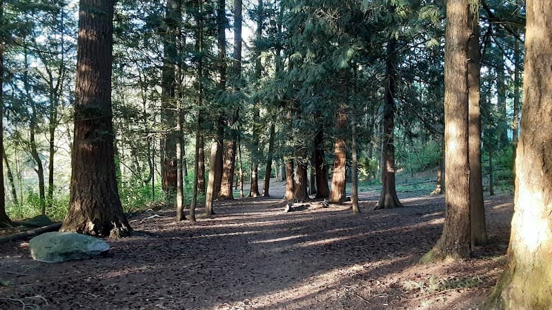 Photo by Sanjib Dutta (Google)