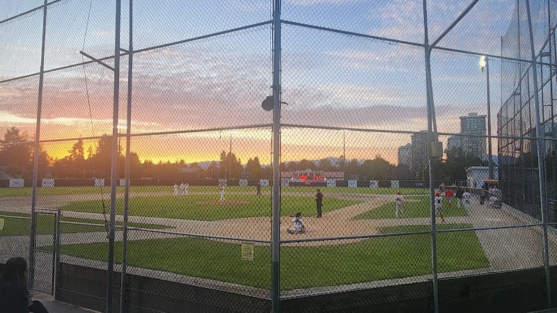 Photo by Elisa Ohura (Google)