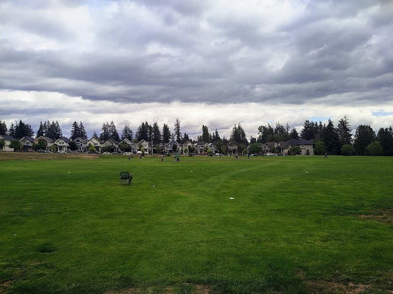 Photo by Aom Hildebrand (Google)