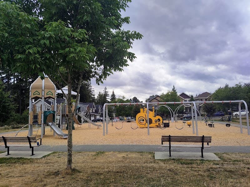 Photo by Aom Hildebrand (Google)