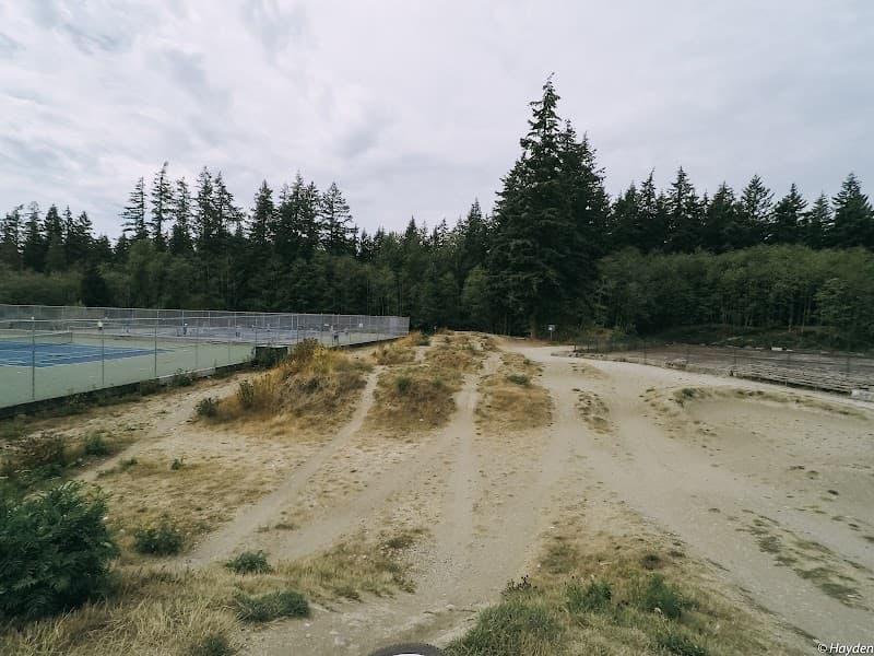 Photo by Hayden Huang (Google)