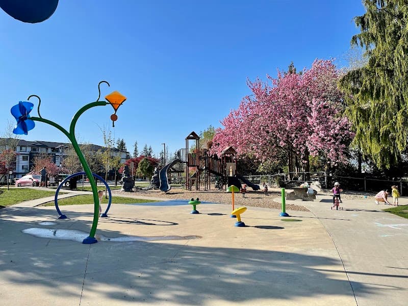 Photo by Elena Domasheva (Google)