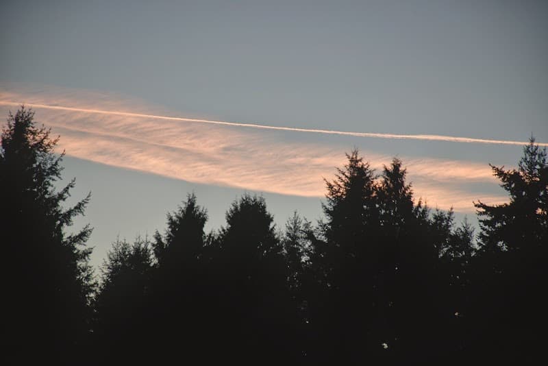 Photo by Andrew Kim (Google)