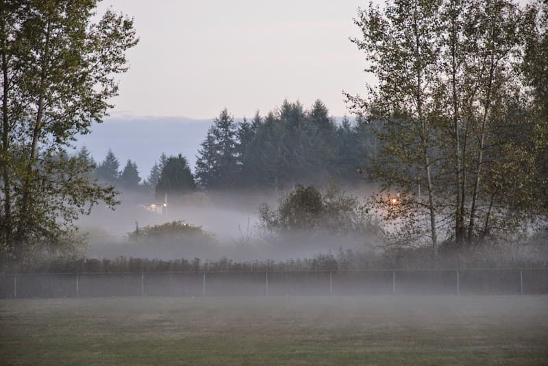 Photo by Andrew Kim (Google)