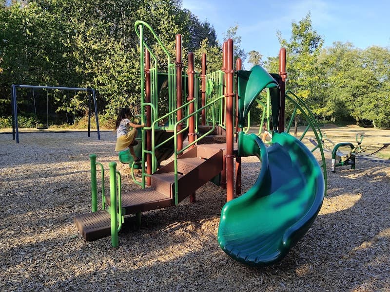 Photo by Aom Hildebrand (Google)