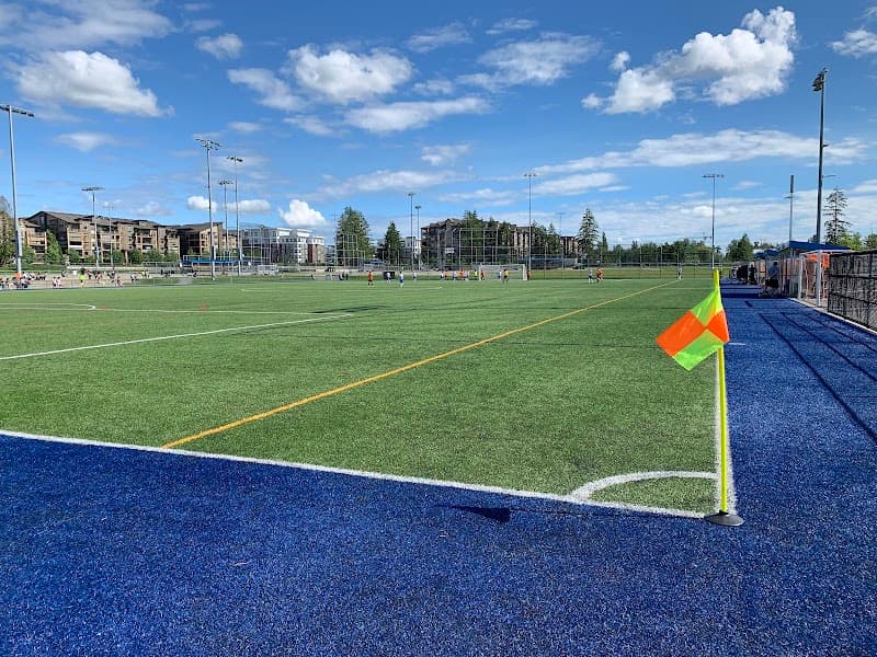 Photo by Frank MJ (Google)