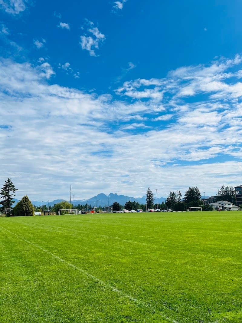 Photo by Mouzi_ S (Google)