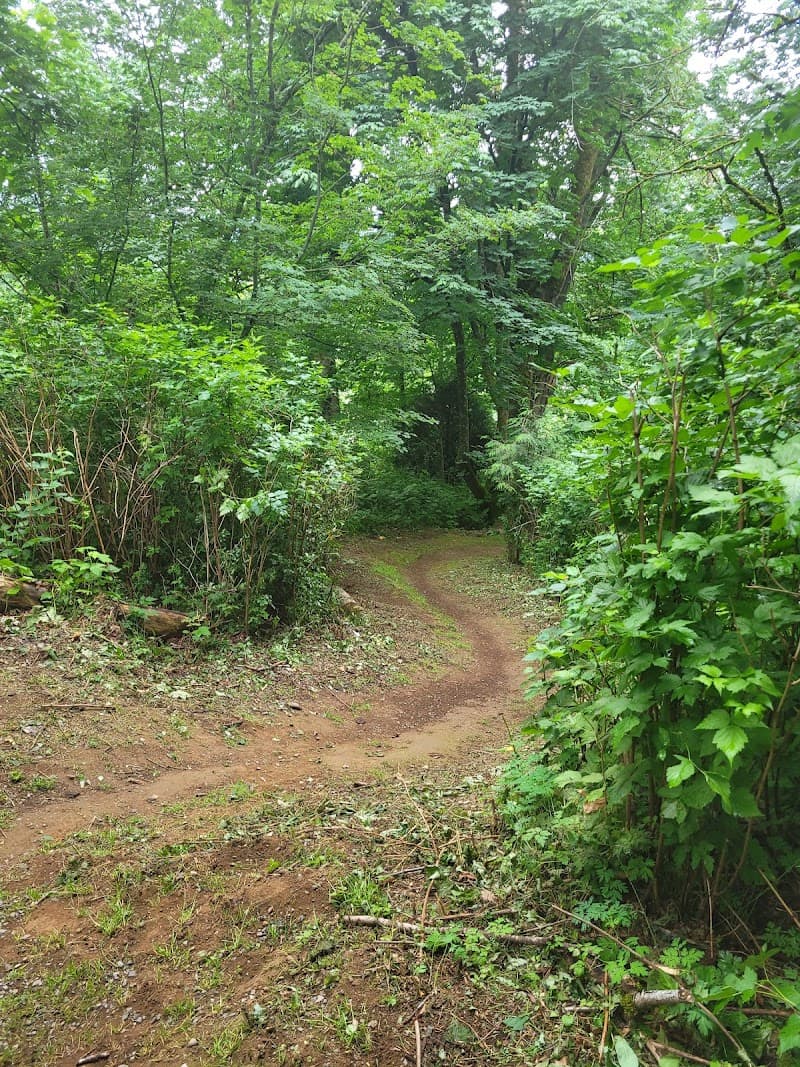 Photo by Gina Rivas (Google)