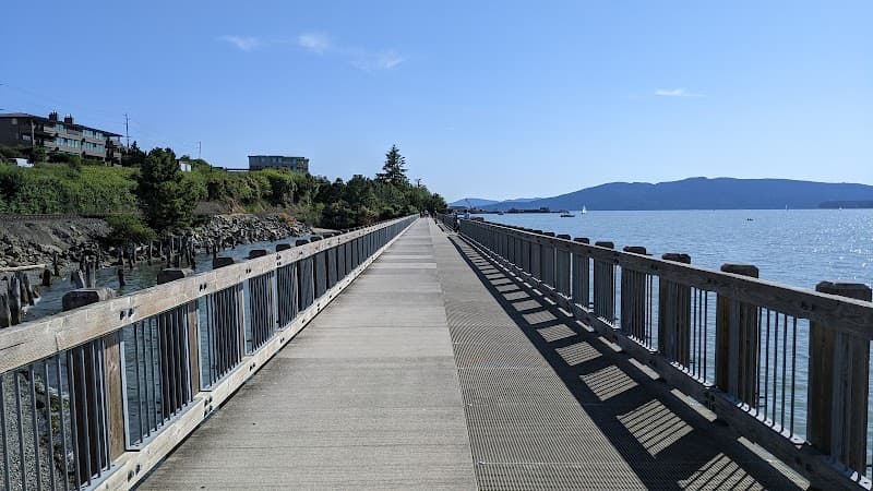 Photo by Jeffrey Adams (Google)