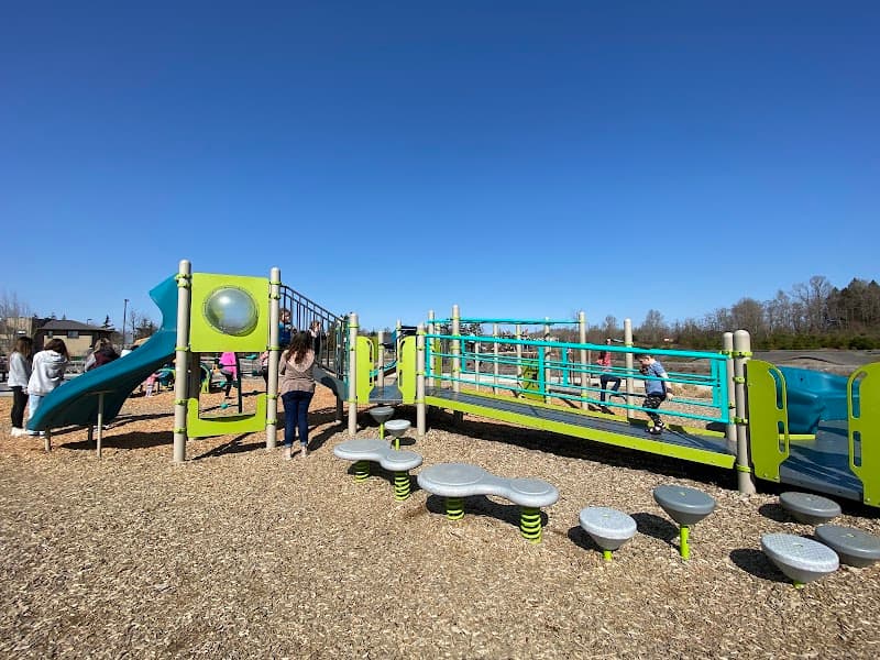 Photo by ls ls (Google)