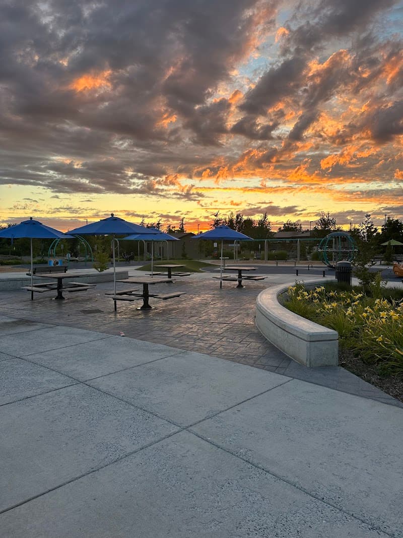 Photo by Jack Otto (Google)