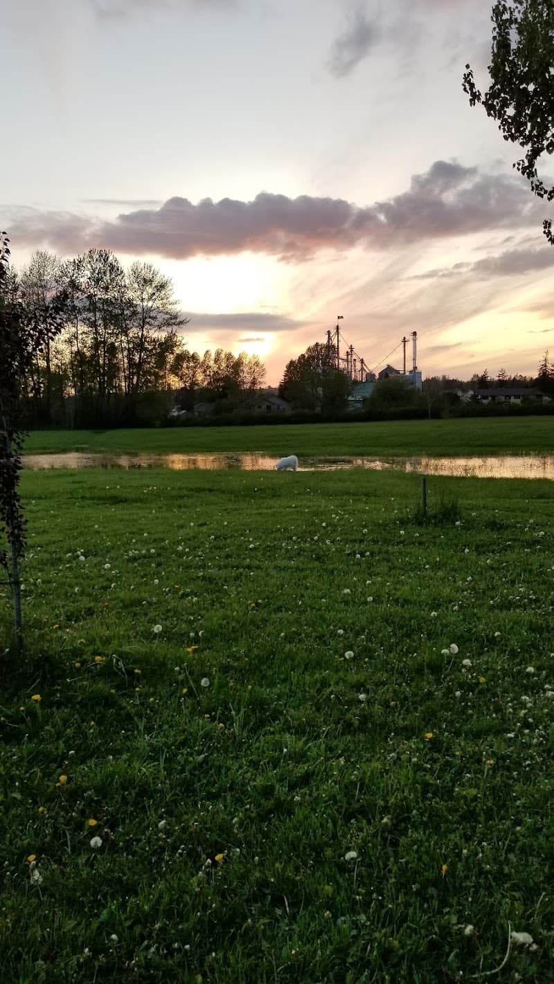 Photo by Reshma Lazzari (Google)