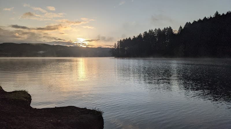 Photo by Tyson Miller (Google)