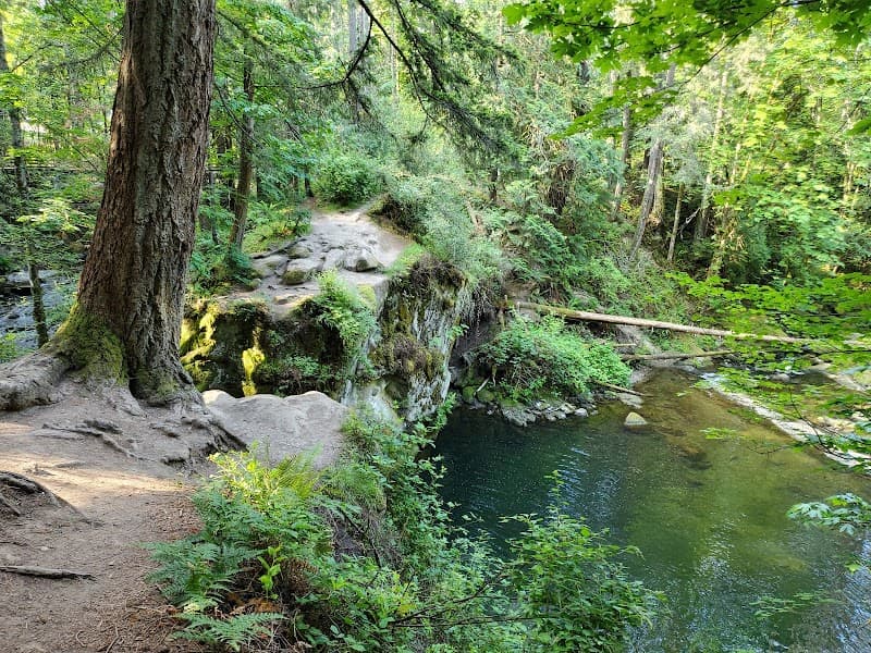 Photo by Shanon Pardee (Google)