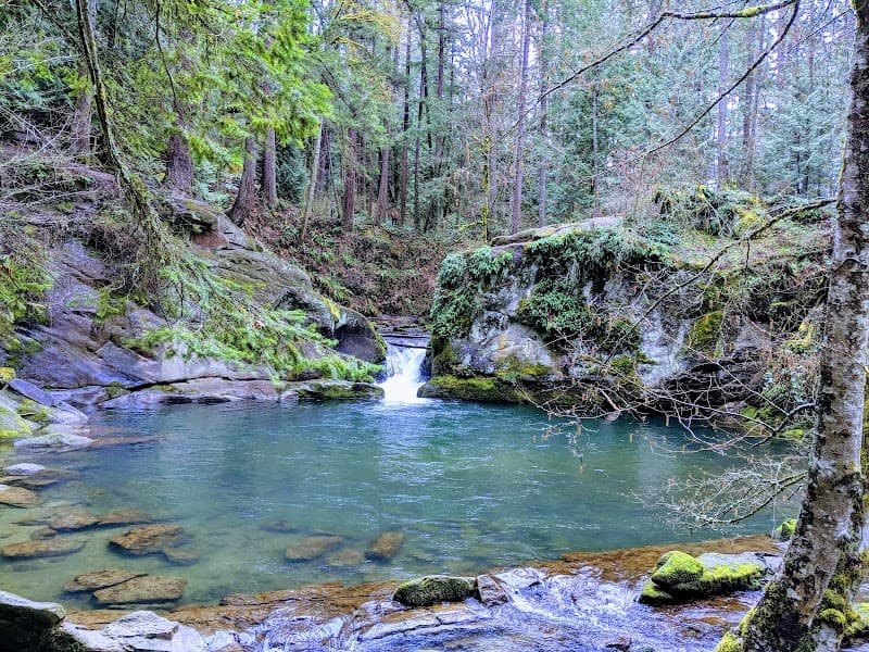 Photo by Andy (Google)