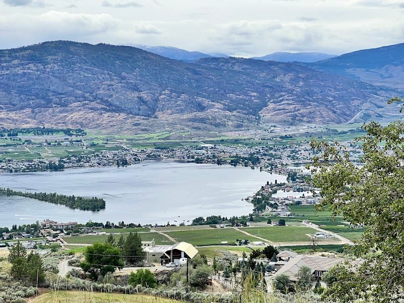 Photo by jasminder Singh (Google)