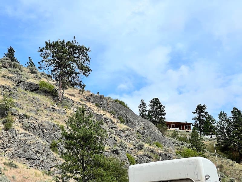 Photo by jasminder Singh (Google)