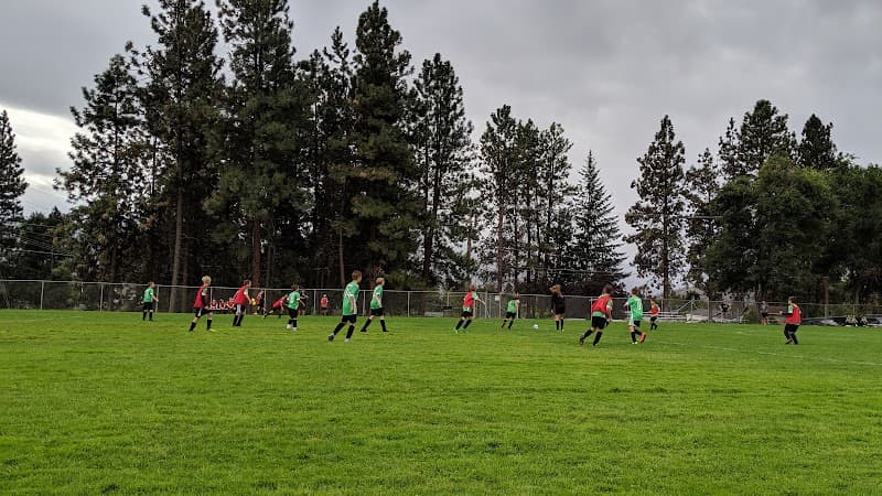 Photo by Liz Ferguson (Google)