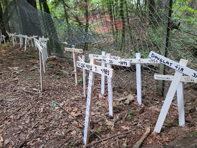 Photo by Pacer Vault (Google)