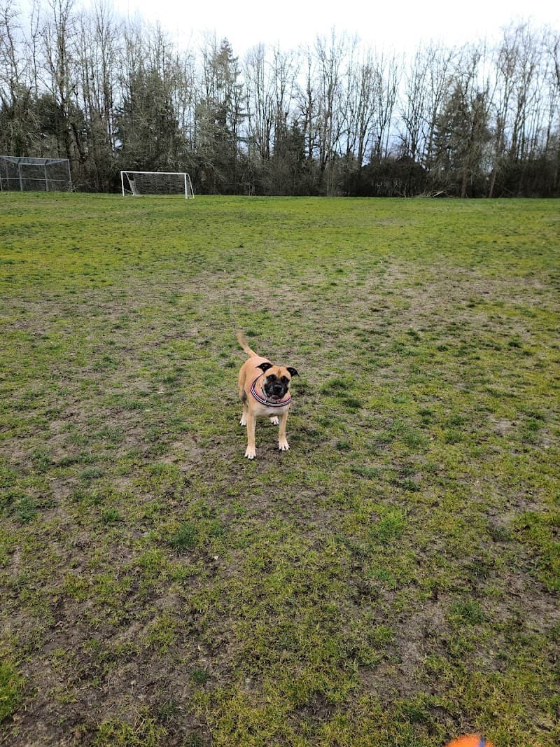 Hallinan Soccer Fields