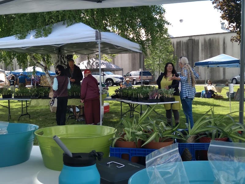 Photo by Diane Svenson (Google)