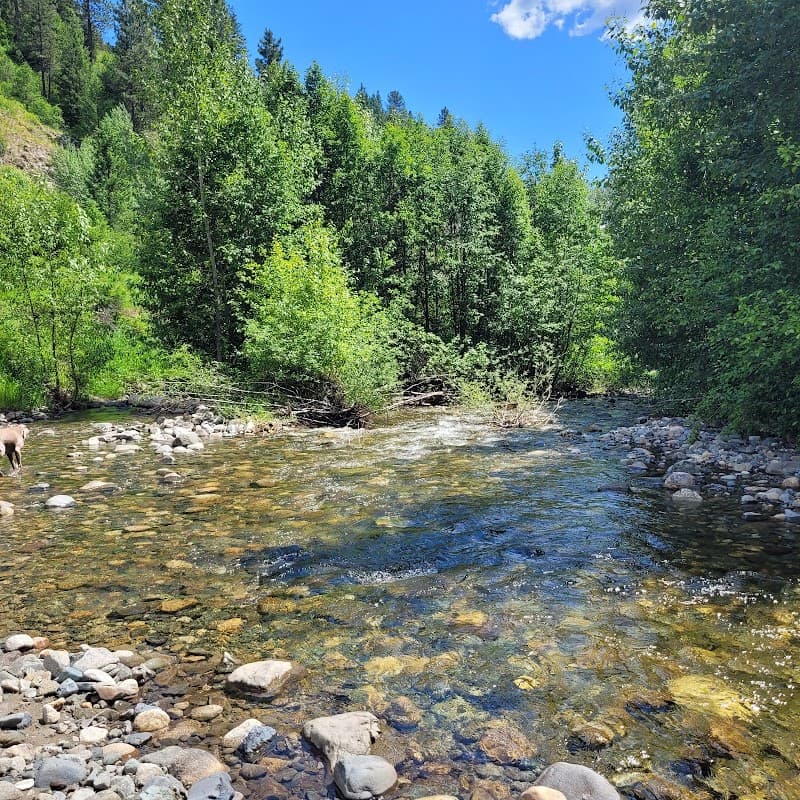 Photo by Danny Schick (Google)