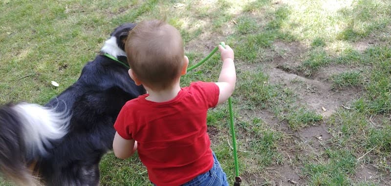 Dilworth Soccer Park