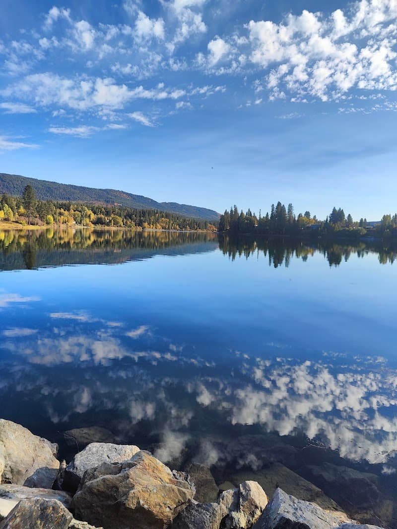 Photo by Dillon Chi (Google)