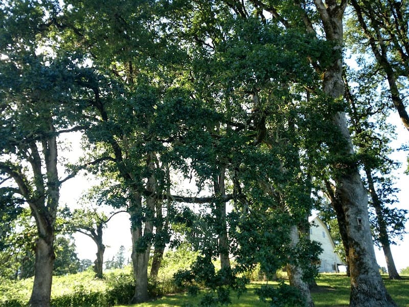 Photo by Harrison (Google)