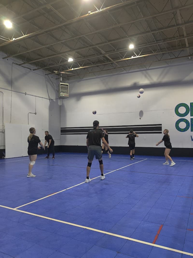 Photo by Tyler Laroche (Google)