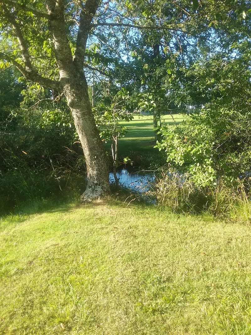 Photo by K F G (Google)