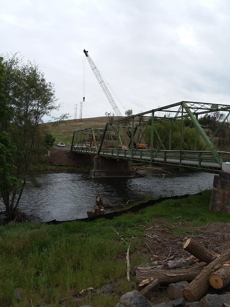 Photo by Michael Whitmore (Google)