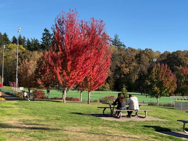 Photo by Lillian Sun (Google)